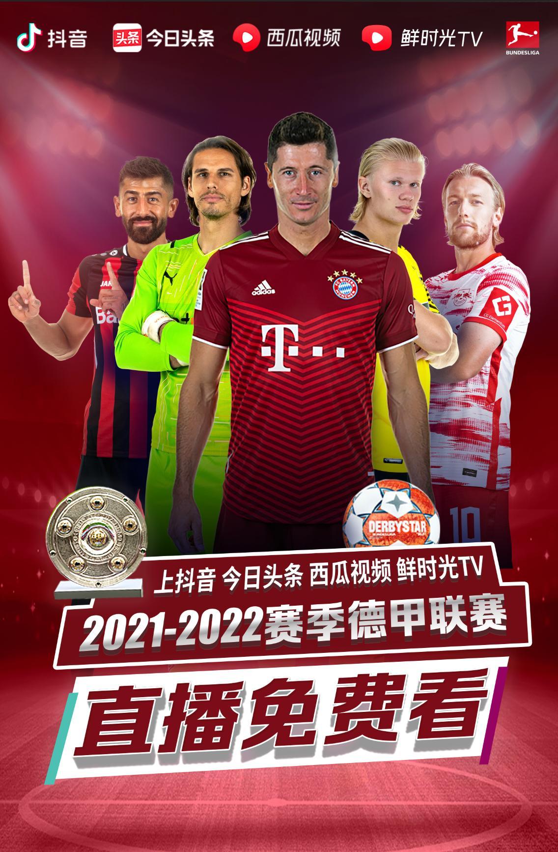 高潮费德勒